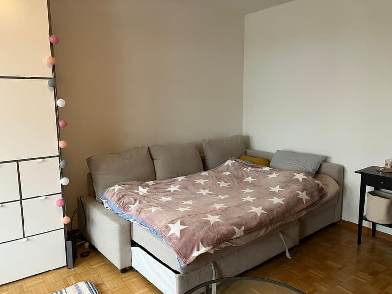 1.5-room apartment (40 sqm) next to Kreuzplatz - 10 min walk to Stadelhofen (2)