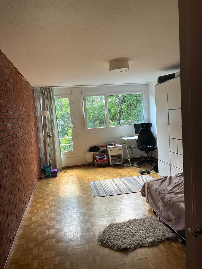 1.5-room apartment (40 sqm) next to Kreuzplatz - 10 min walk to Stadelhofen (3)