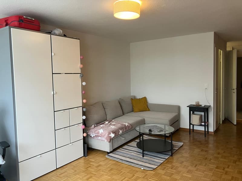 1.5-room apartment (40 sqm) next to Kreuzplatz - 10 min walk to Stadelhofen (1)