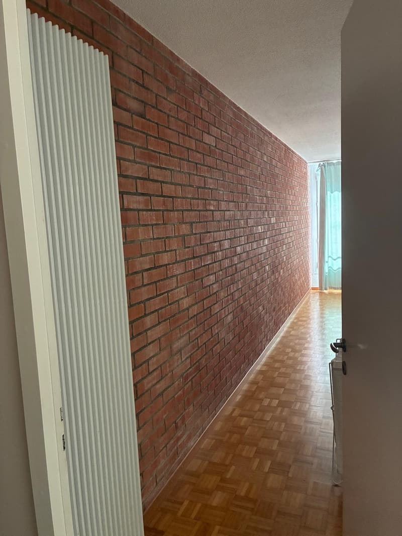 1.5-room apartment (40 sqm) next to Kreuzplatz - 10 min walk to Stadelhofen (10)