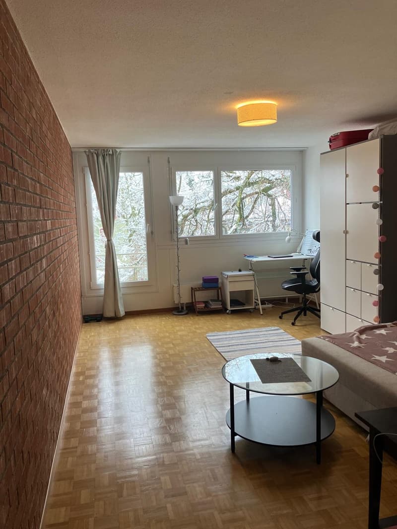 1.5-room apartment (40 sqm) next to Kreuzplatz - 10 min walk to Stadelhofen (4)