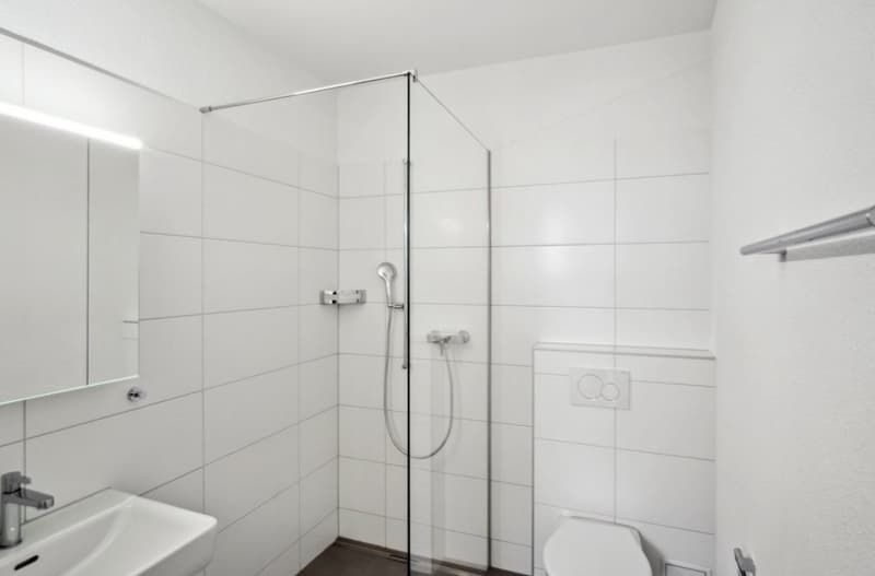 1 Zimmer Wohnung (2)