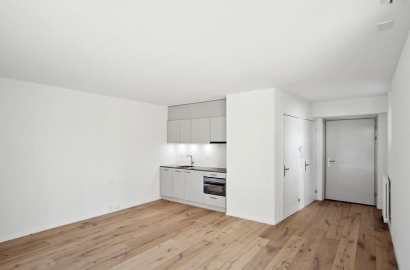 1 Zimmer Wohnung (1)
