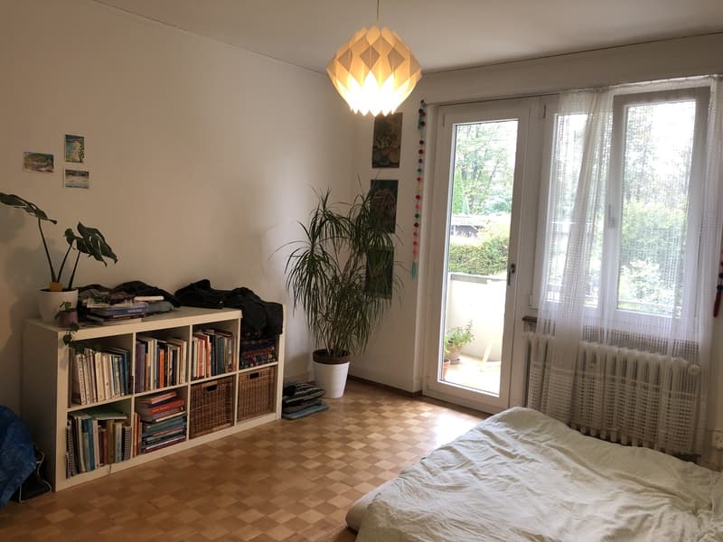 WG-Zimmer für Wochenaufenthalter*in in Bern (2)