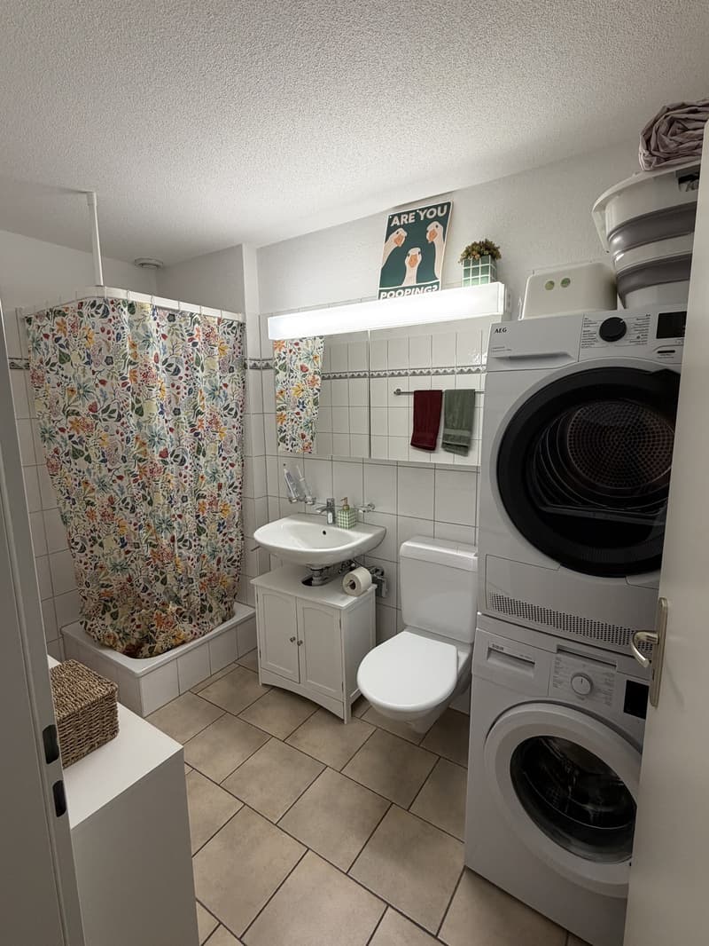 APARTMENT SEEBACH (2)