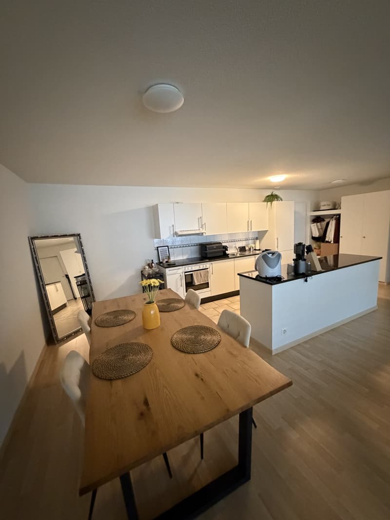 APARTMENT SEEBACH (1)