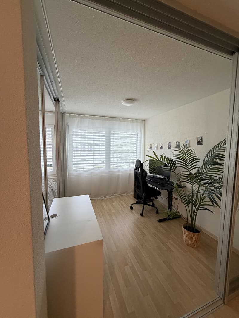 APARTMENT SEEBACH (6)