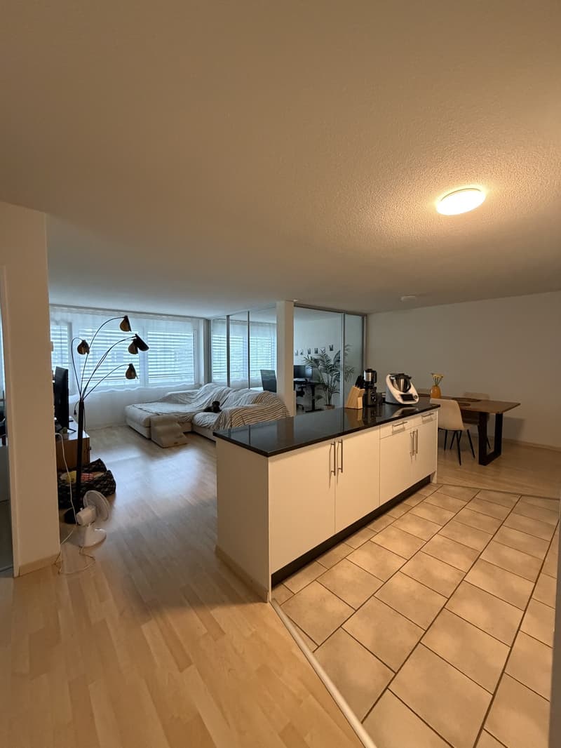 APARTMENT SEEBACH (5)