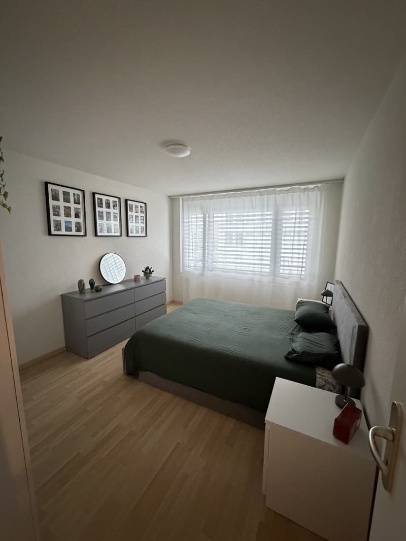 APARTMENT SEEBACH (4)