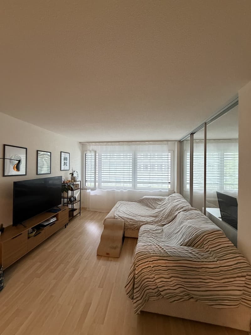 APARTMENT SEEBACH (3)