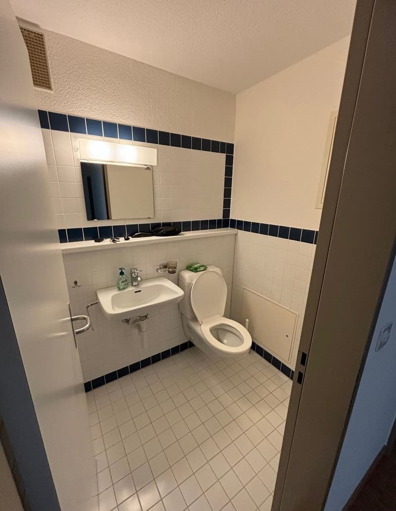 Room in City Zürich (6)