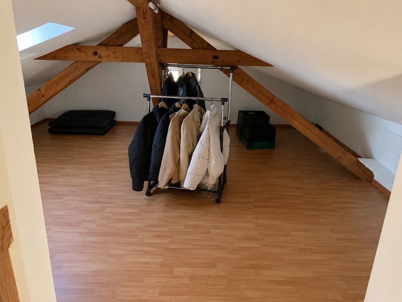 110 m² Dachwohnung in Fischbach-Göslikon ab 01.11. (8)