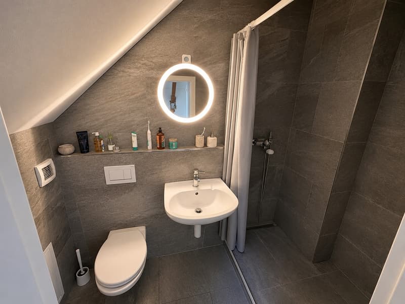 110 m² Dachwohnung in Fischbach-Göslikon ab 01.11. (5)