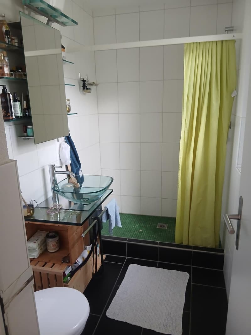 Sehr schöne 3,5-Zimmer Gartenwohnung (7)