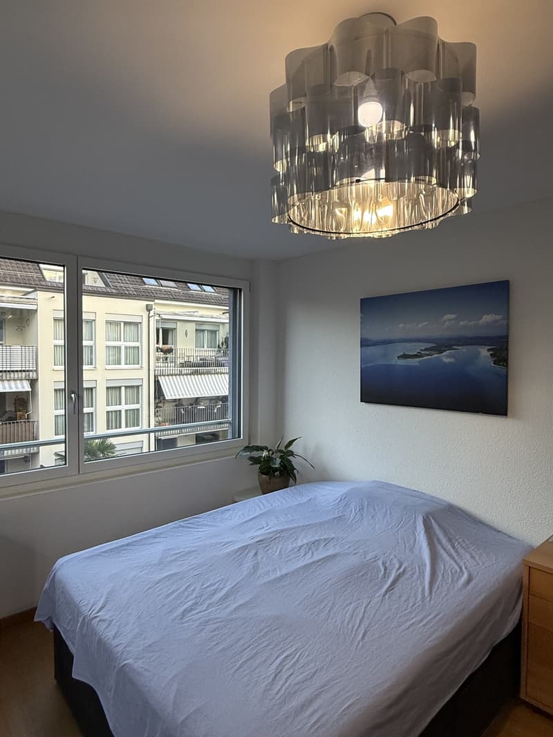 Room in a shared flat, 8052 Zurich (4)