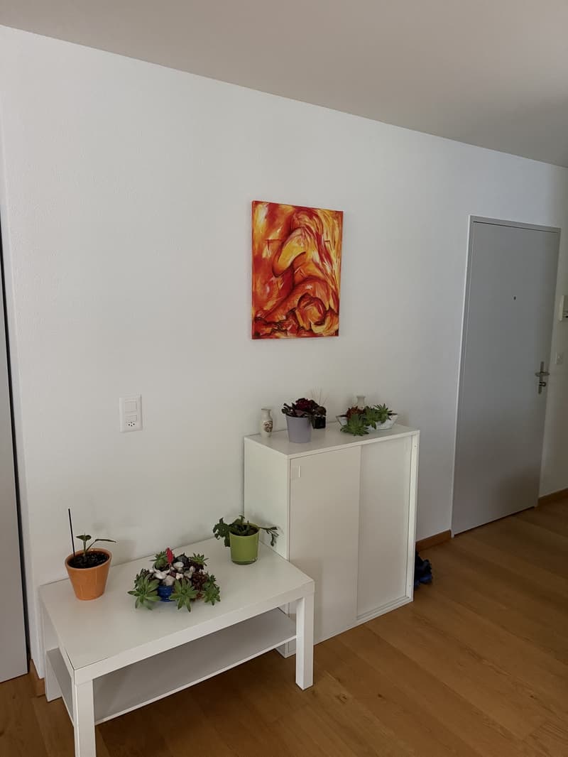 Room in a shared flat, 8052 Zurich (8)