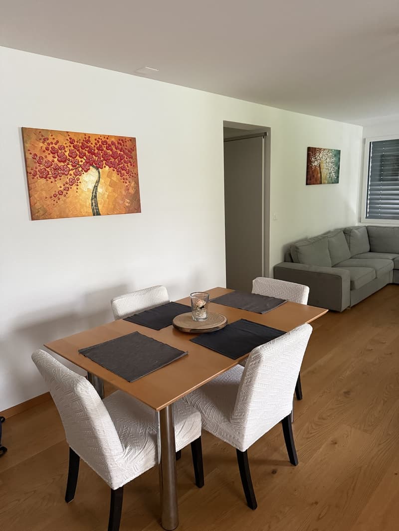 Room in a shared flat, 8052 Zurich (5)