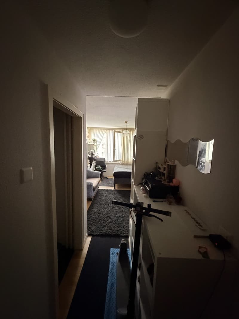 1-Zimmer-Wohnung in Luzern (3)
