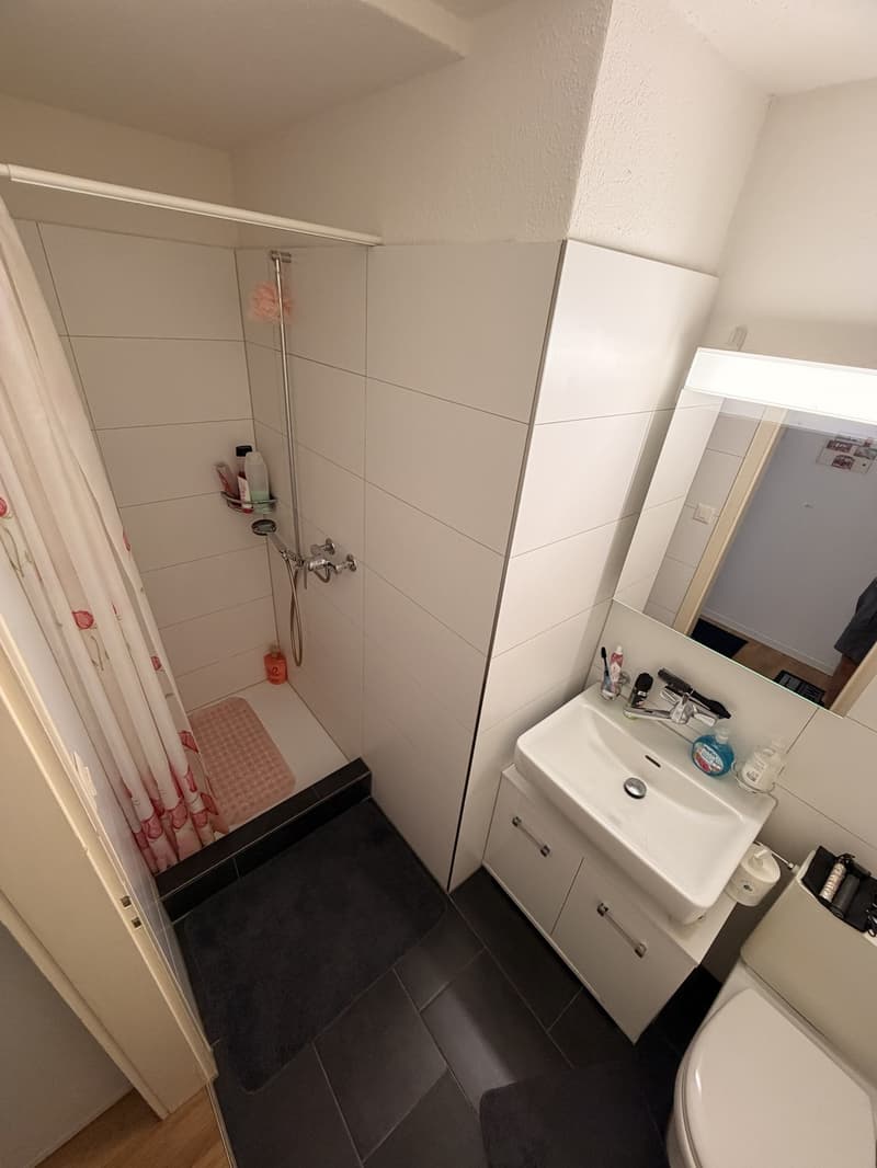 1-Zimmer-Wohnung in Luzern (6)