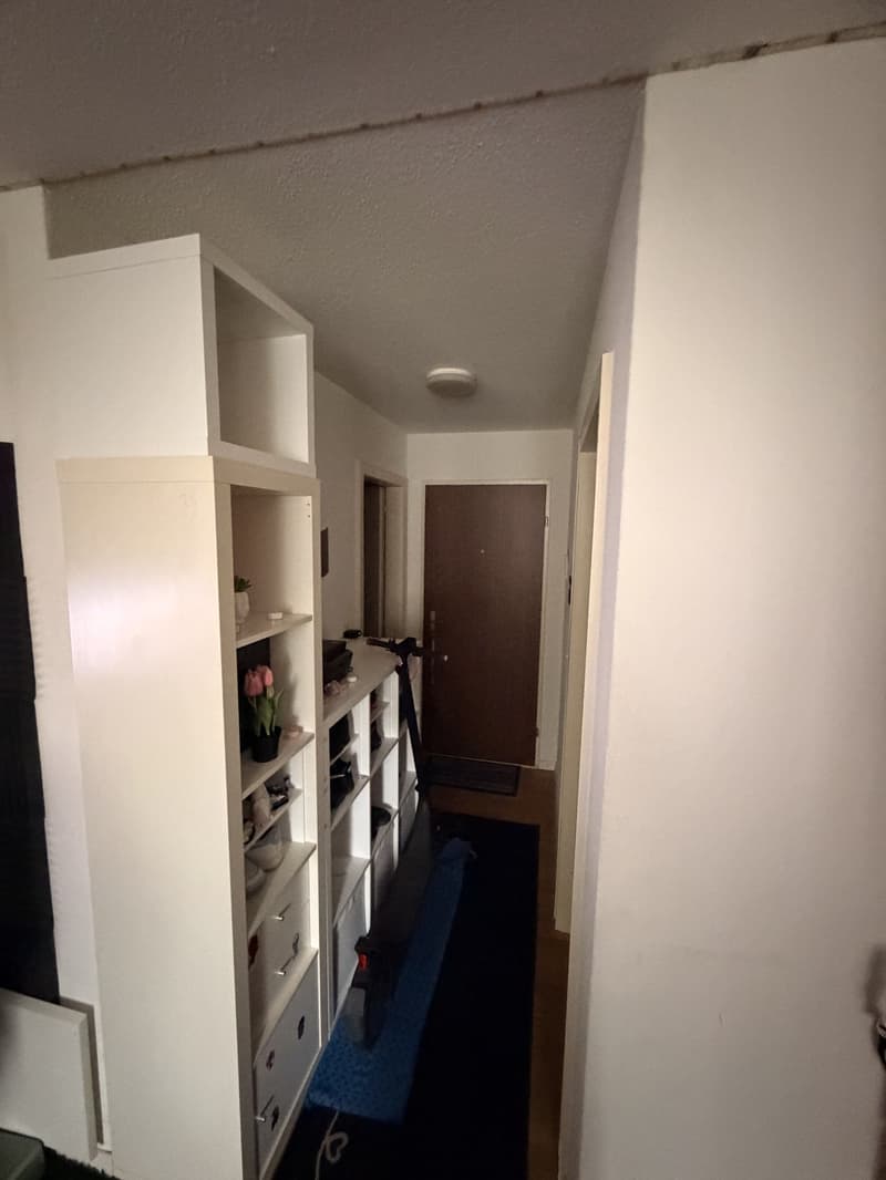 1-Zimmer-Wohnung in Luzern (4)