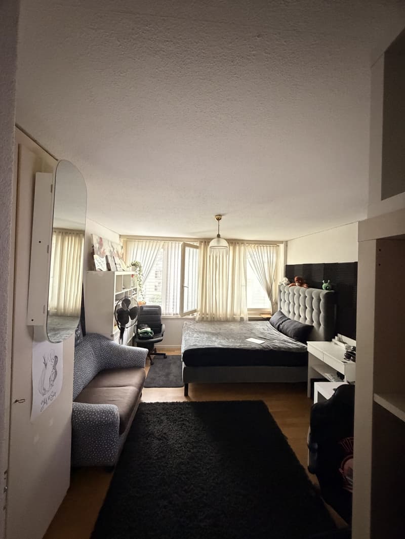 1-Zimmer-Wohnung in Luzern (1)