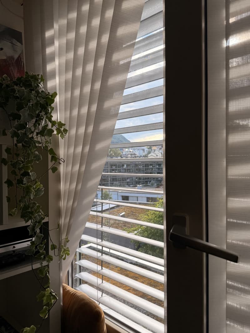 1-Zimmer-Wohnung in Luzern (5)
