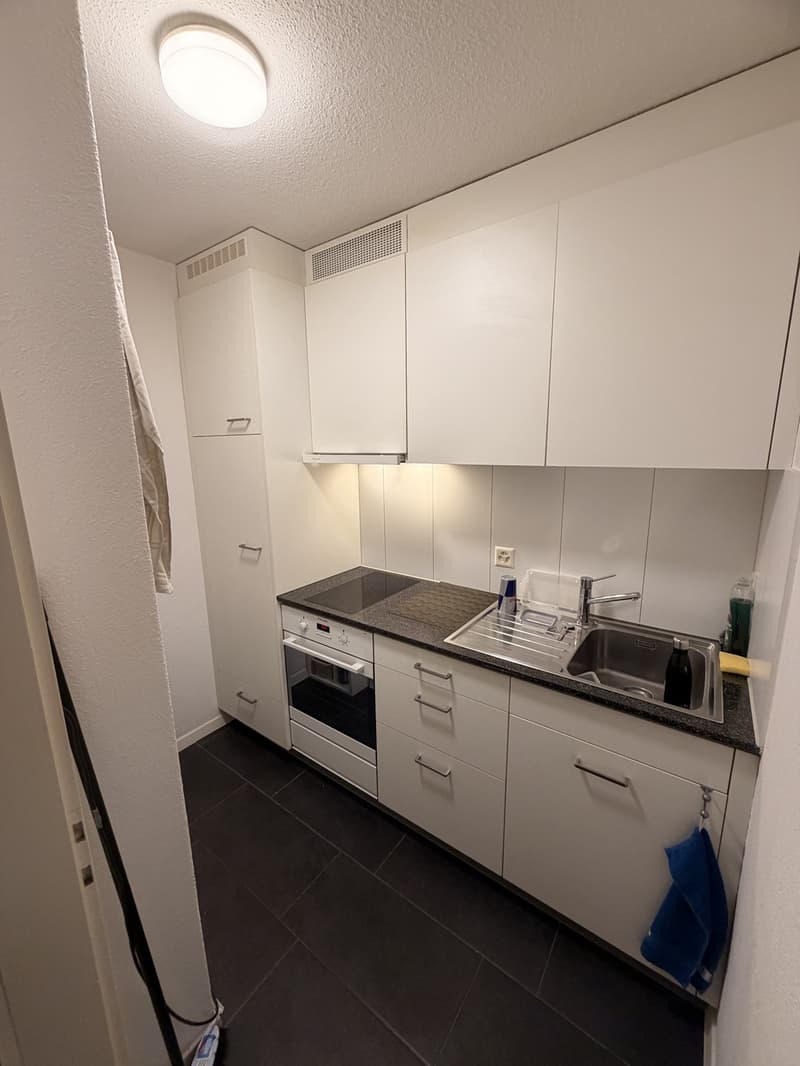 1-Zimmer-Wohnung in Luzern (7)