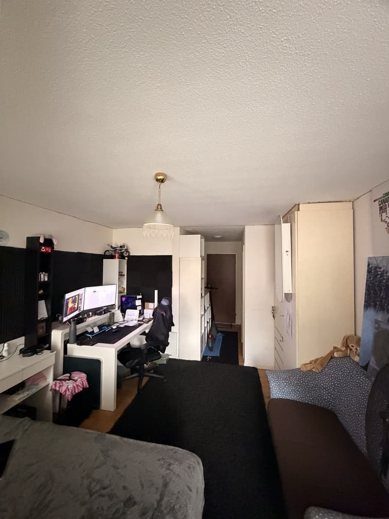 1-Zimmer-Wohnung in Luzern (2)