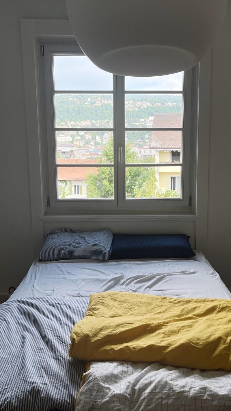 Stilvolle möblierte 3-Zi Altbauwohnung mit Balkon & Homeoffice (JuliSept) (12)