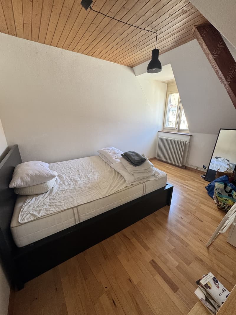 Waffenplatzstrasse 8002 (5)
