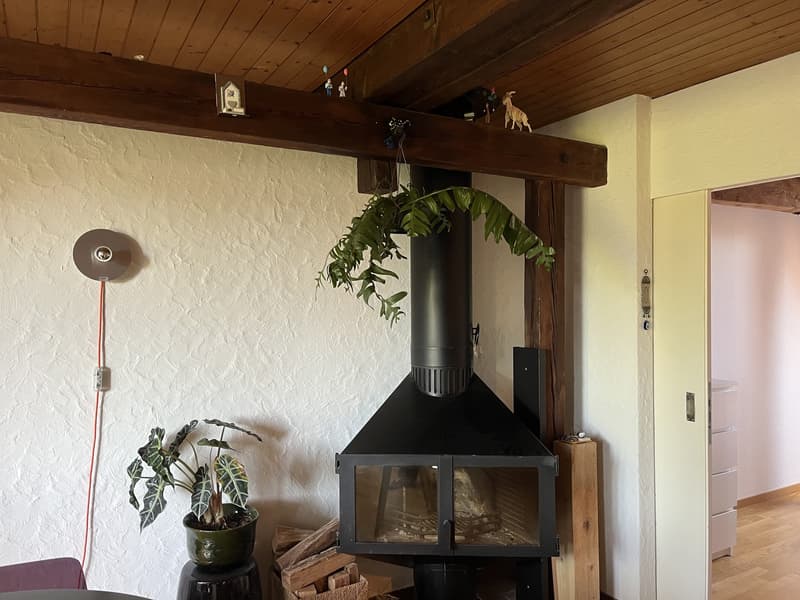 Furnished long term sublet in Lochergut (6)