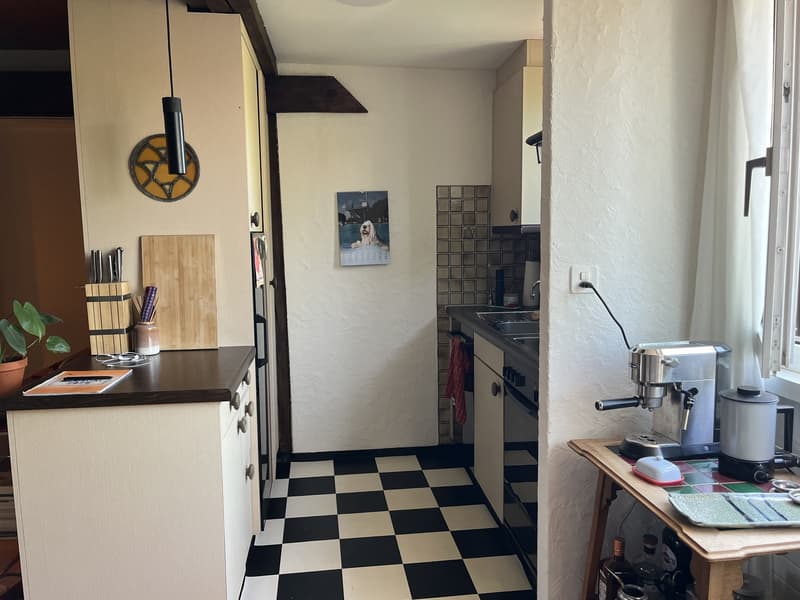 Furnished long term sublet in Lochergut (3)