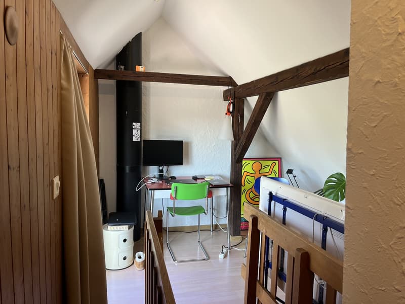 Furnished long term sublet in Lochergut (4)