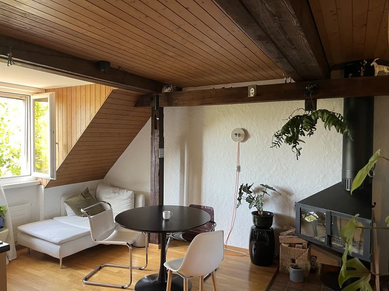 Furnished long term sublet in Lochergut (1)