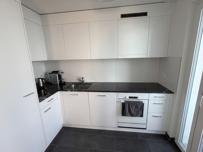 Modern Furnished 3-Room Apartment with Lake View Available Nov-Jan (5)