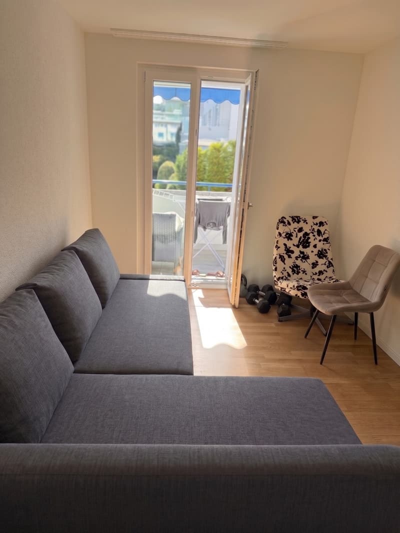 Modern Furnished 3-Room Apartment with Lake View Available Nov-Jan (4)
