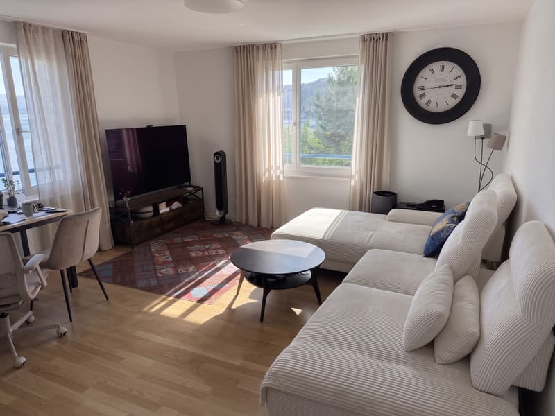 Modern Furnished 3-Room Apartment with Lake View Available Nov-Jan (2)