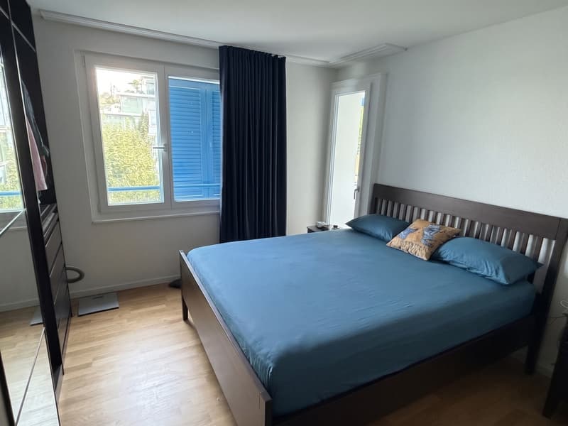 Modern Furnished 3-Room Apartment with Lake View Available Nov-Jan (3)