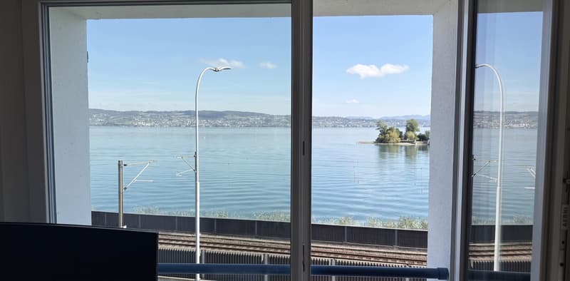 Modern Furnished 3-Room Apartment with Lake View Available Nov-Jan (7)