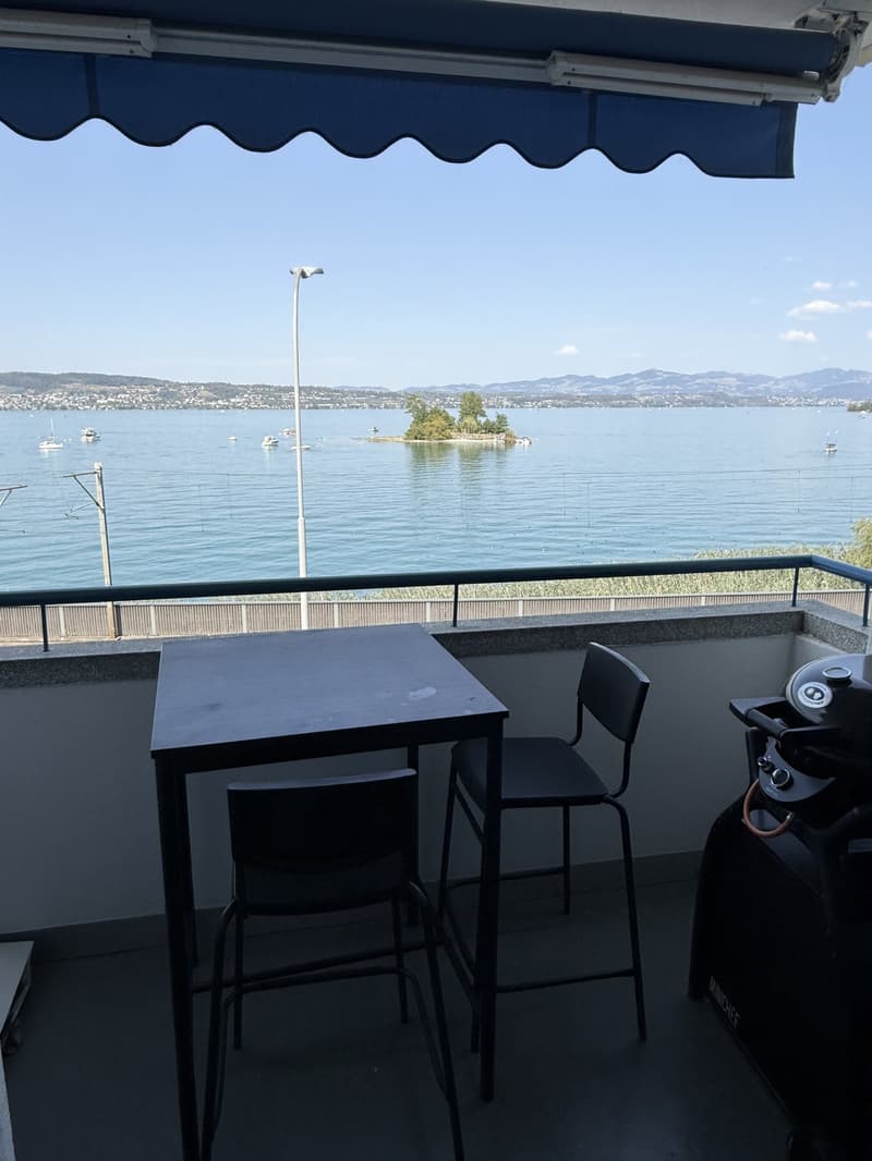 Modern Furnished 3-Room Apartment with Lake View Available Nov-Jan (6)