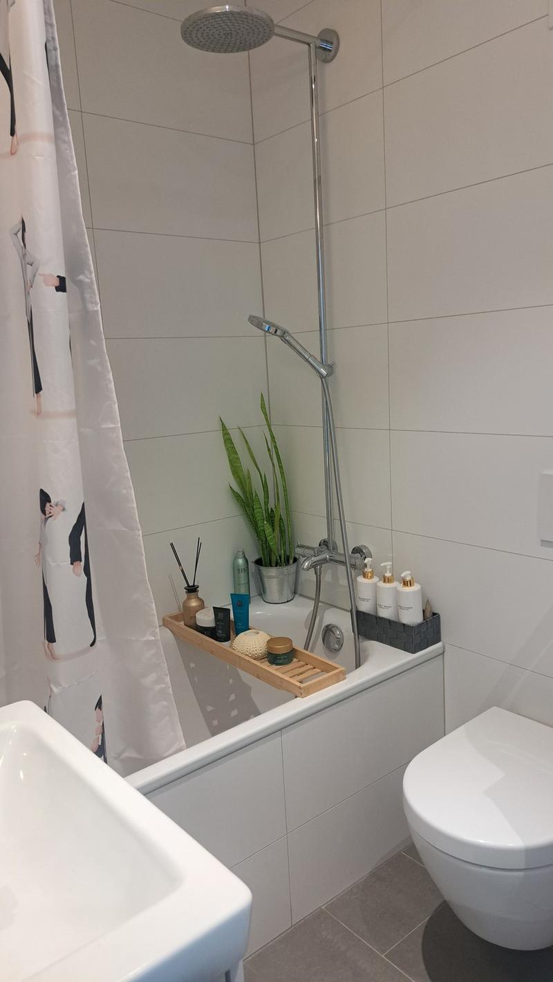 2 ½ Zimmer-Wohnung, 8804 Au ZH (3)