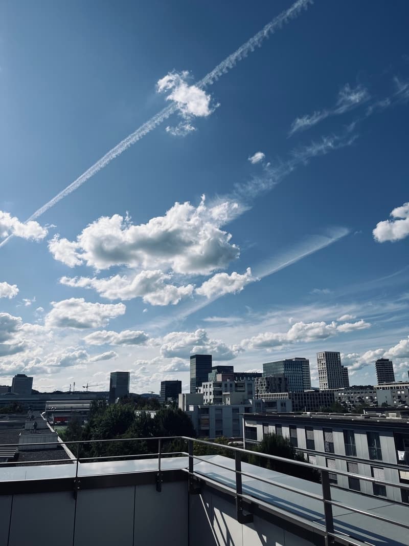 Lichtdurchflutete 3.5-Zimmer-Attikawohnung mit drei Terrassen in Zürich-Oerlikon (11)