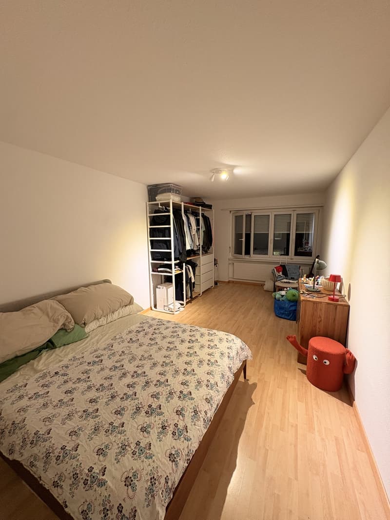 2.5 Room Apartment Zurich / Altstetten (4)