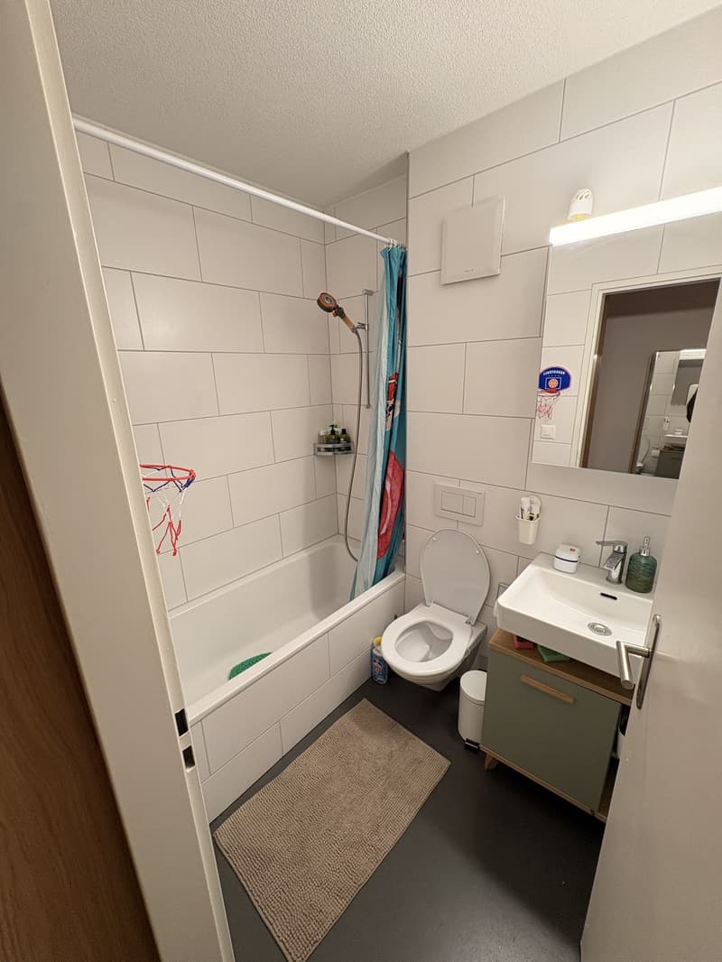 2.5 Room Apartment Zurich / Altstetten (6)