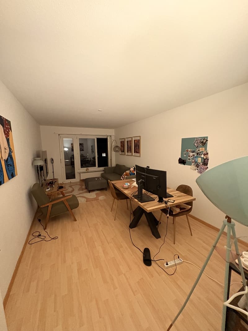 2.5 Room Apartment Zurich / Altstetten (2)