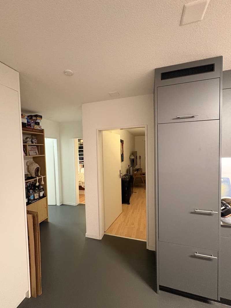 2.5 Room Apartment Zurich / Altstetten (1)