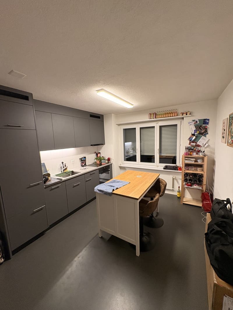 2.5 Room Apartment Zurich / Altstetten (3)