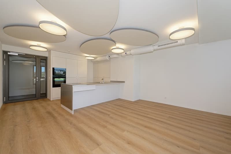 Newly renovated - Modern 1 Room with own Shower and Toilet (4)