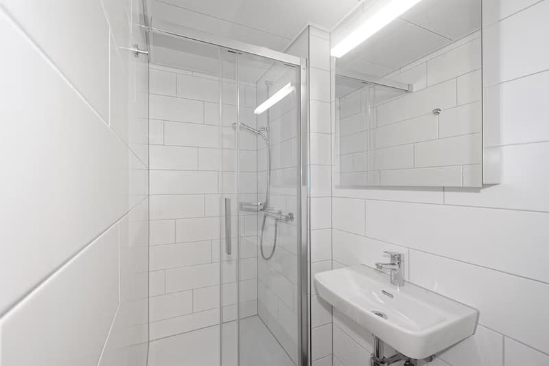 Newly renovated - Modern 1 Room with own Shower and Toilet (3)