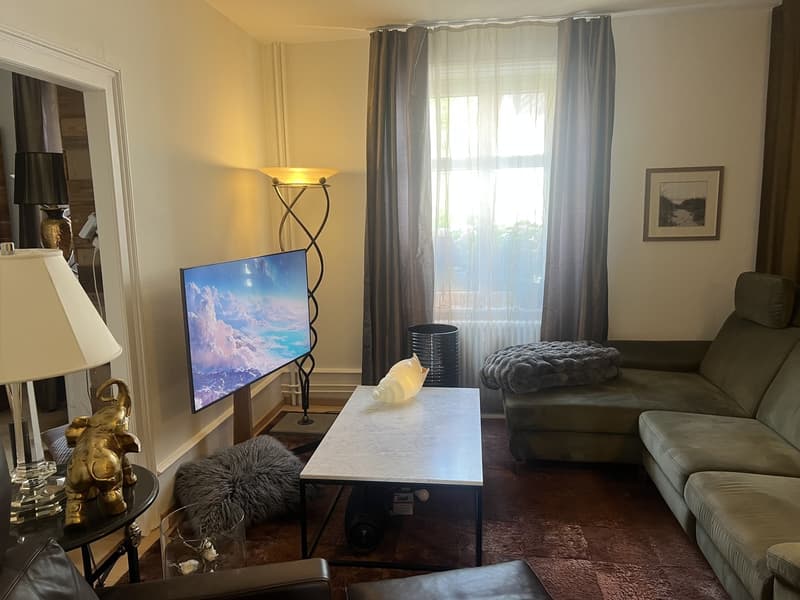 Sehr ruhige Garten 3 1/2 Wohnung im EG nur wenige Min. zu Fuss an Rhein (5)